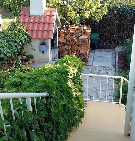 Bugy Ζαντάρ